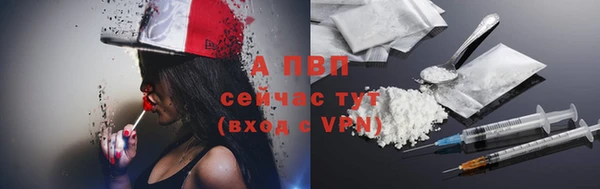 СК Абаза