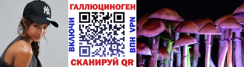 Псилоцибиновые грибы Psilocybe  KRAKEN вход  Клинцы 