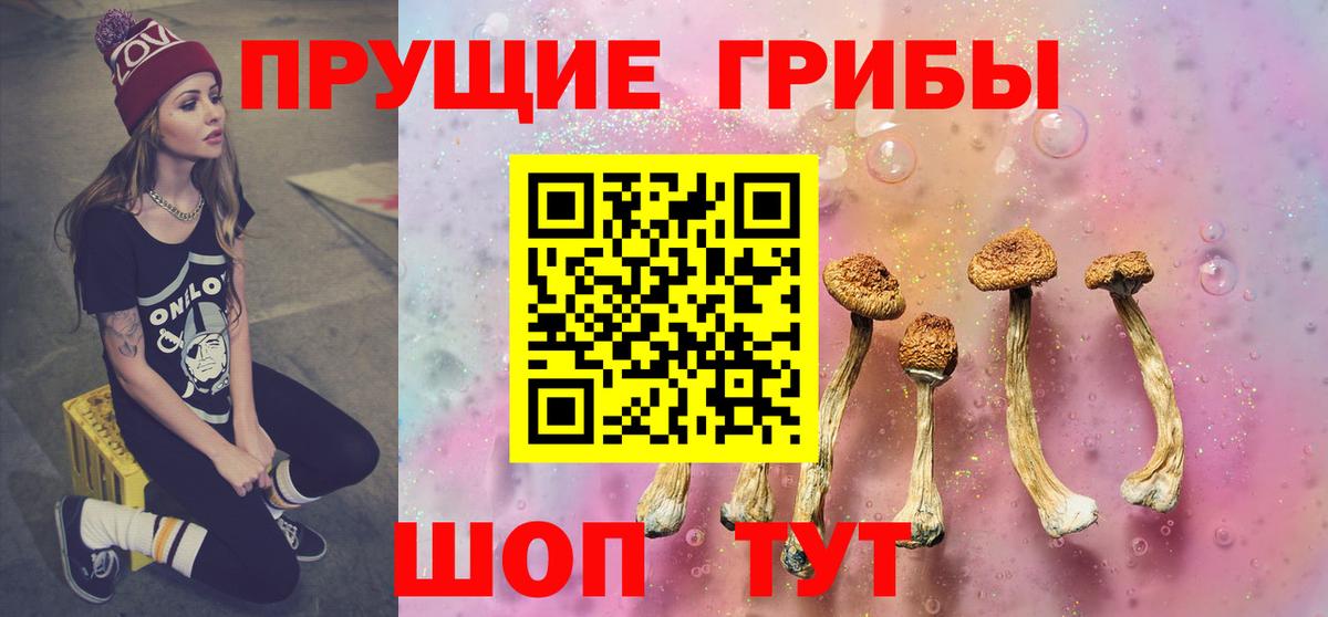 Псилоцибиновые грибы прущие грибы  Галлюциногенные грибы мухоморы  Клинцы  Вход с VPN 